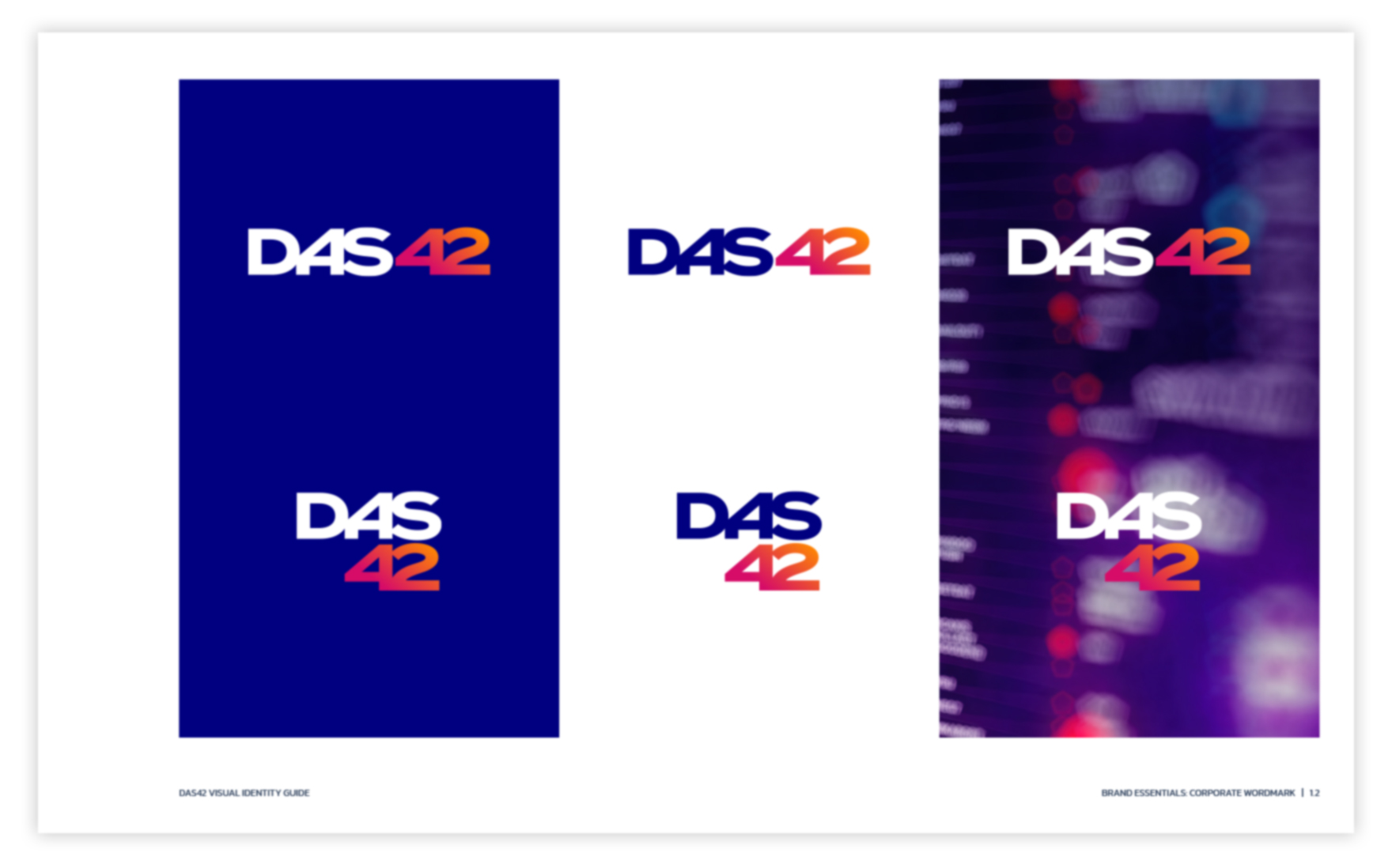 DAS42 visual identity guide image