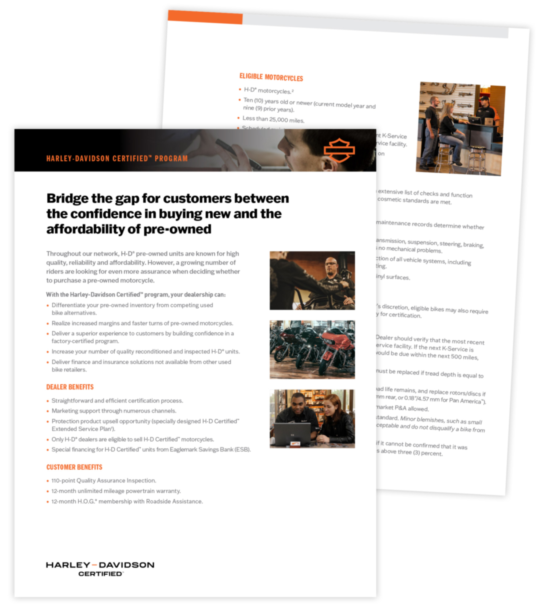 DAS42 visual identity guide image