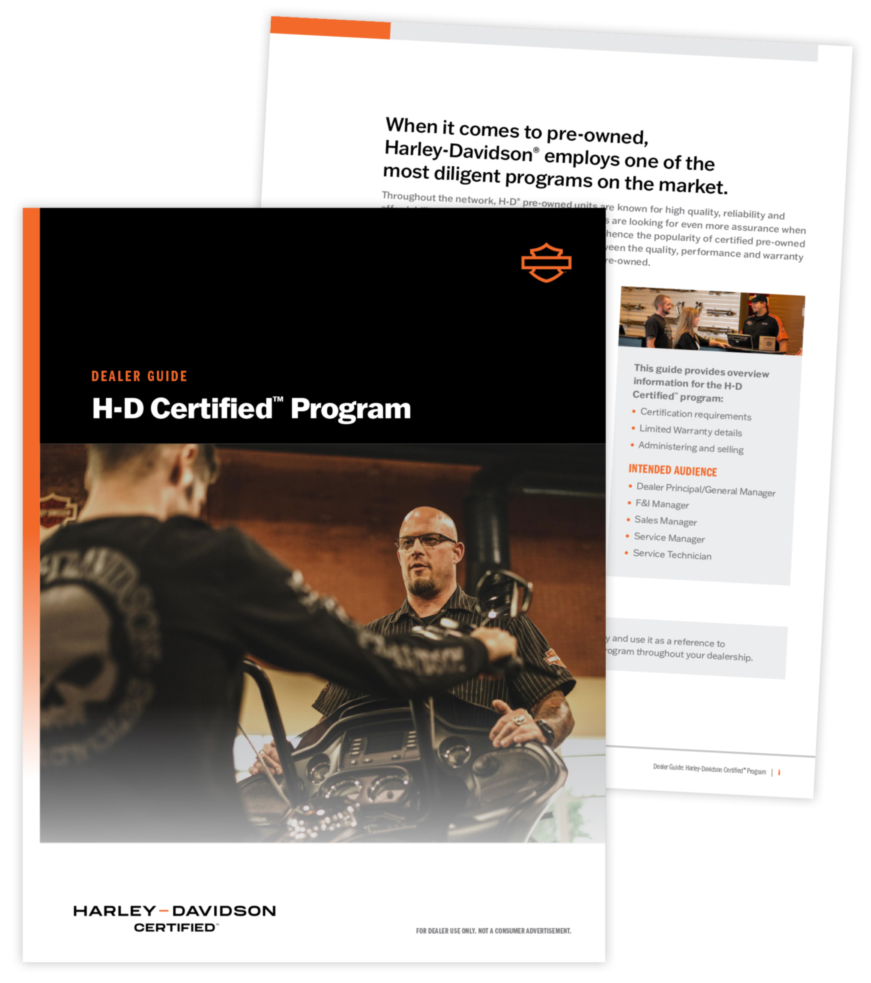 DAS42 visual identity guide image